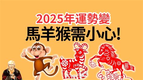 2025 年生肖|四生肖2025要安太歲！豬易吵架、猴遇愛情騙子、他最慘各種不。